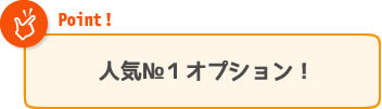 人気№１オプション！